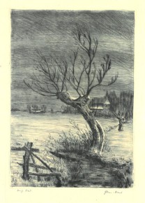 Radierung<br>sign. undatiert<br>Platte 21 x 30 cm